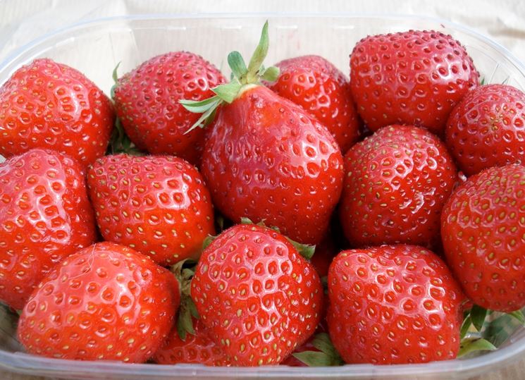 Cestino di fragole