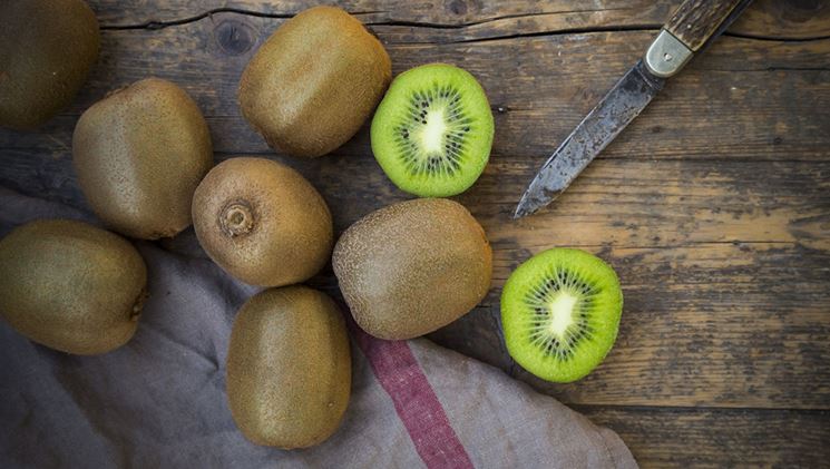 kiwi frutti