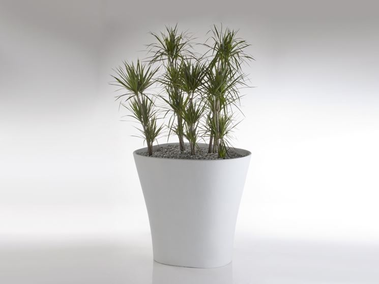 Vaso Portafiori A Forma Di Teschio Bianco In Resina - 16,5 Cm - Decorazione Originale Per Casa E Bar