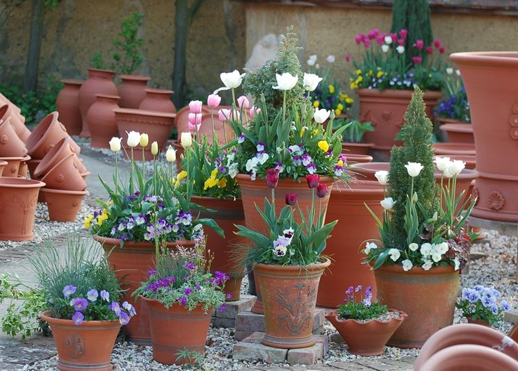 Classici vasi in terracotta