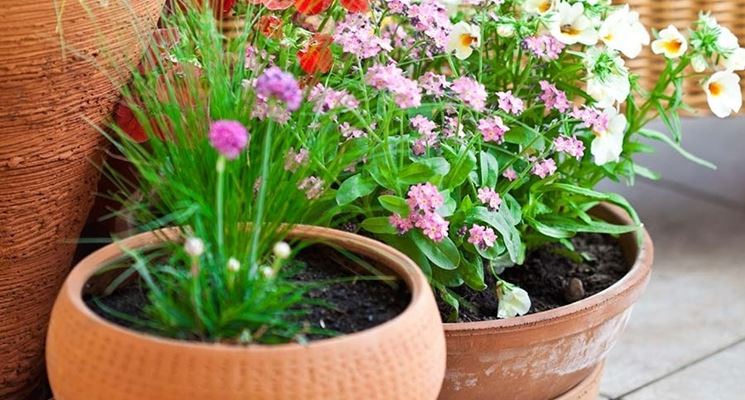 Vasi Per Piante Da Giardino E Patio – Fondo Recuperabile, 9 Cm E 13 Cm, Terracotta/Grigio
