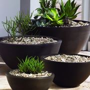 Vaso per piante moderni