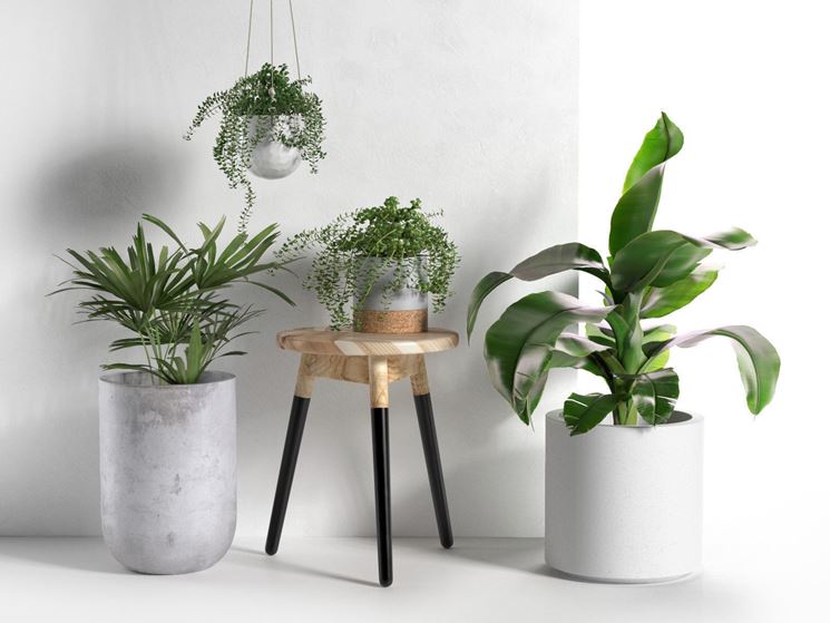 Diverse forme di vasi per piante
